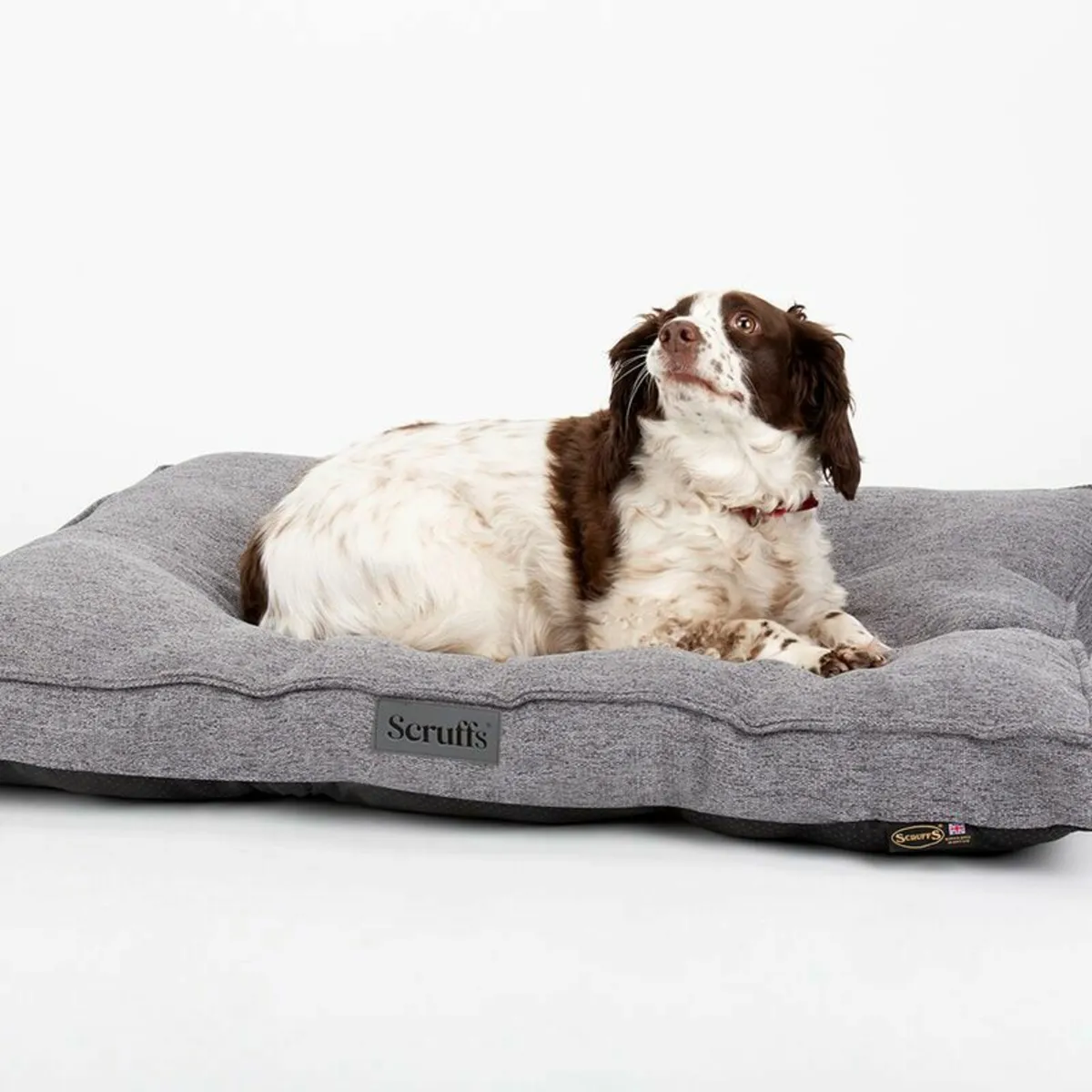 Scruffs Dog Bed SALE!! - Image 4