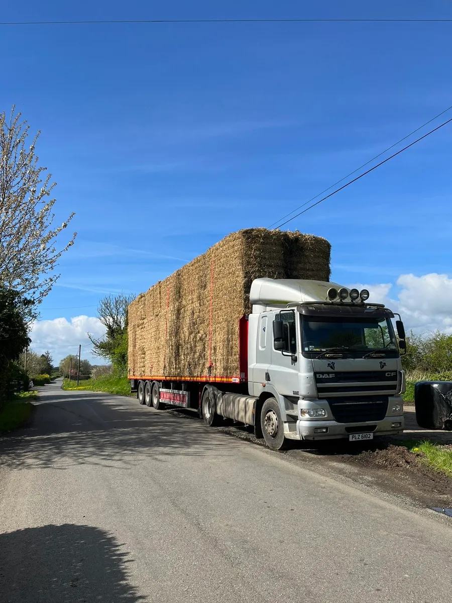 8/4/4 bales of straw - Image 2