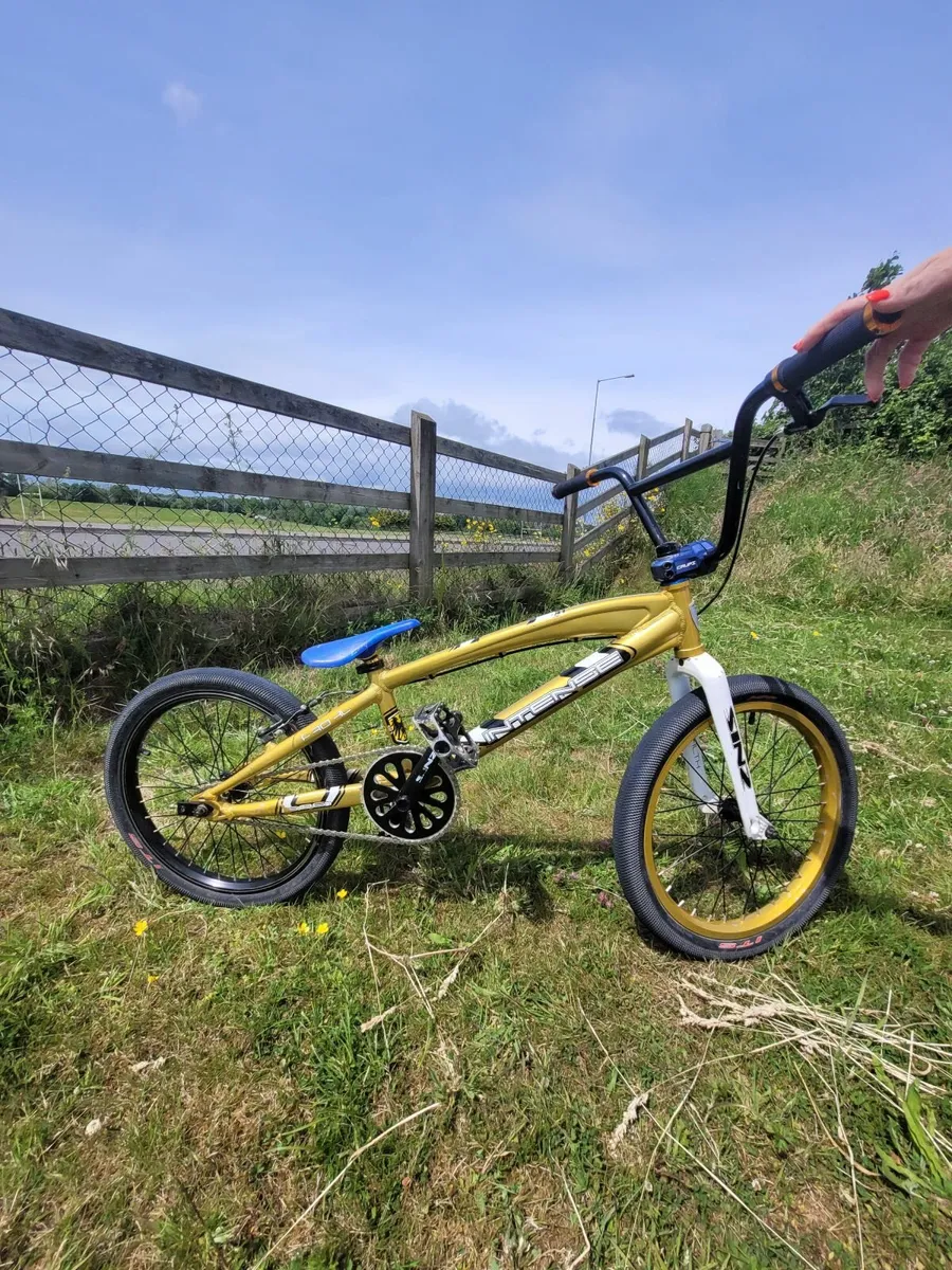 BMX Racing Bike for sale in Co. Cork for €250 on DoneDeal