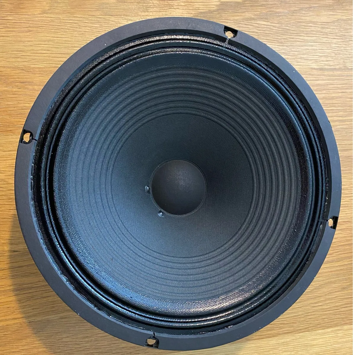 12inch Speaker Driver - Image 1