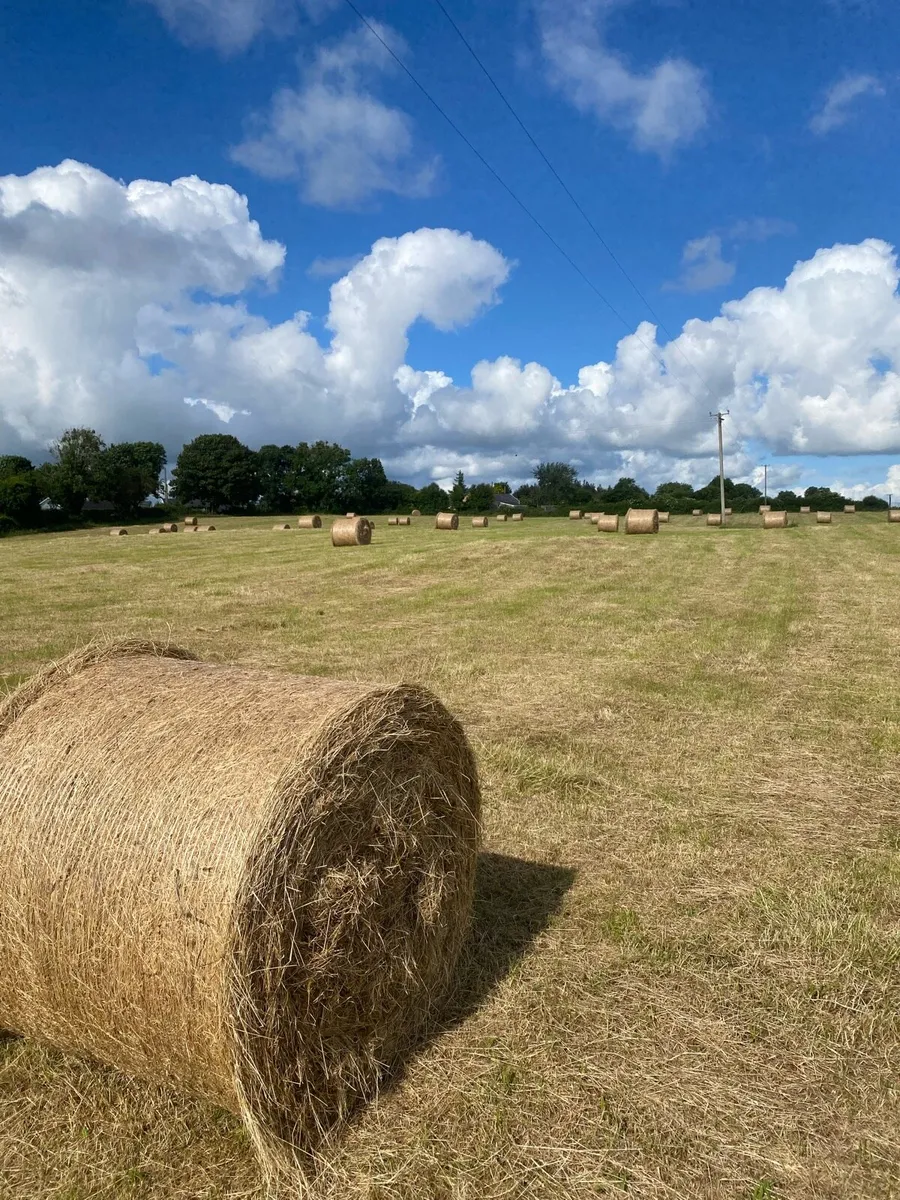 Top Quality June 2024 Hay For Sale for sale in Co. Limerick for €52 on