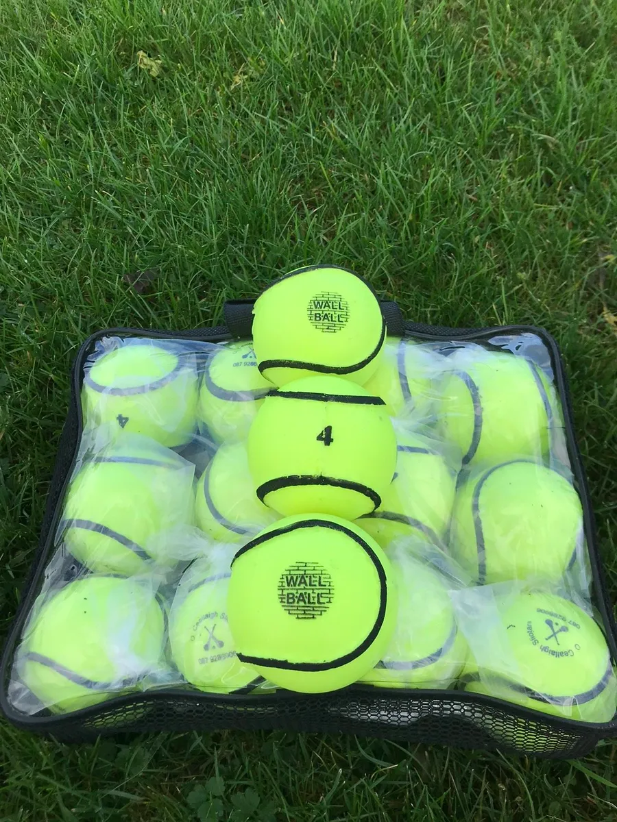 Hurling/Hurleys/Sliotars/Wall Balls/Size 4 - Image 1
