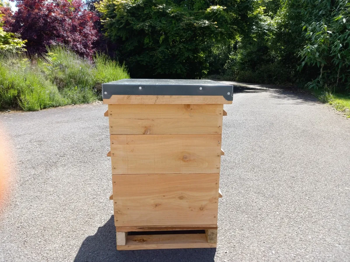 Cedar, Larch Beehives , Bee nuc 250 - Image 2