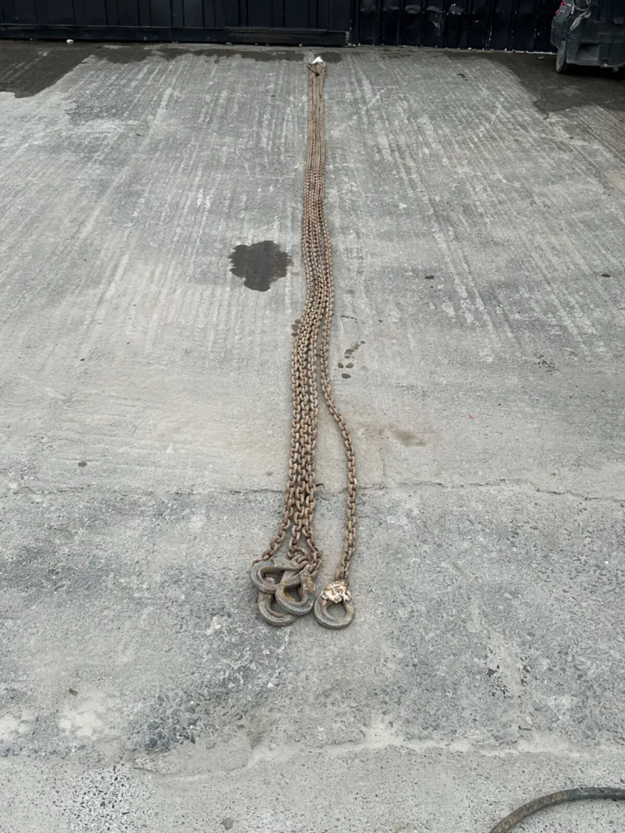6M 4 Leg Chain - Image 1