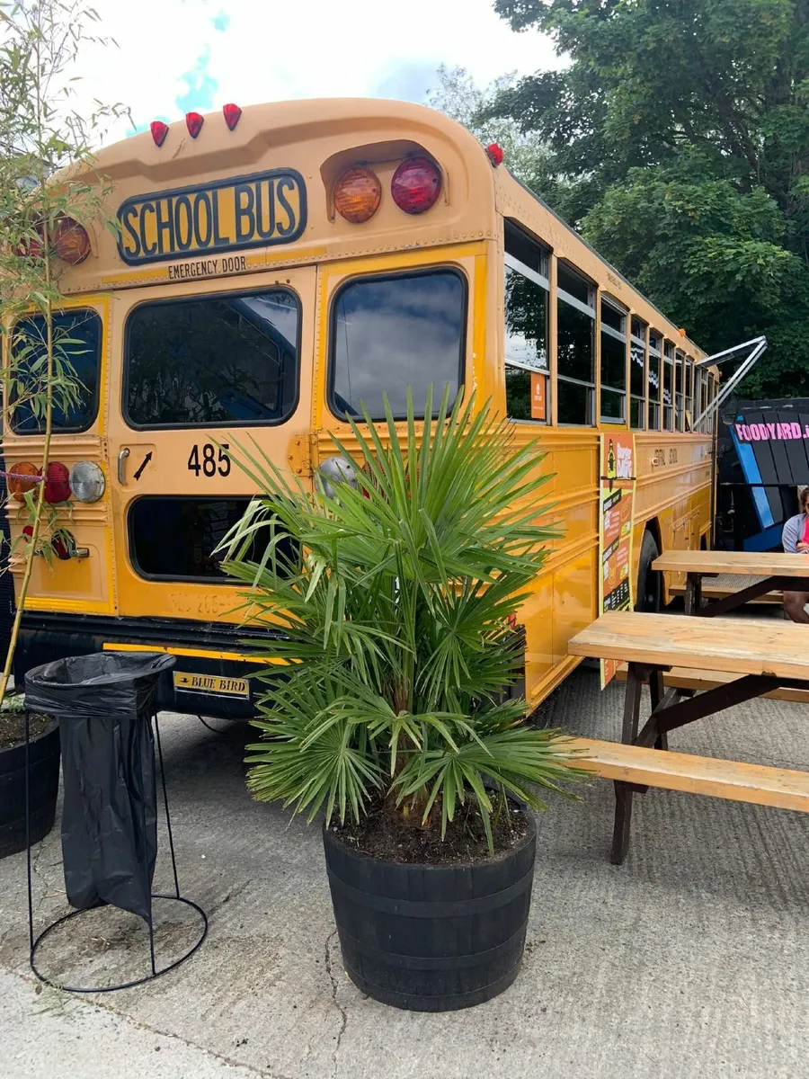 Food Truck American Yellow School Bus - Image 4