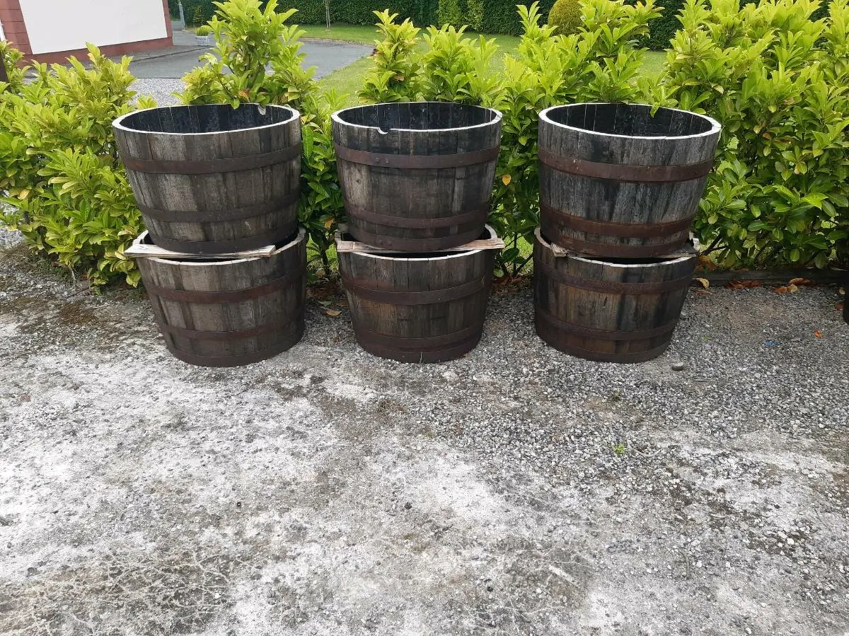 Whiskey barrel planters - Image 1