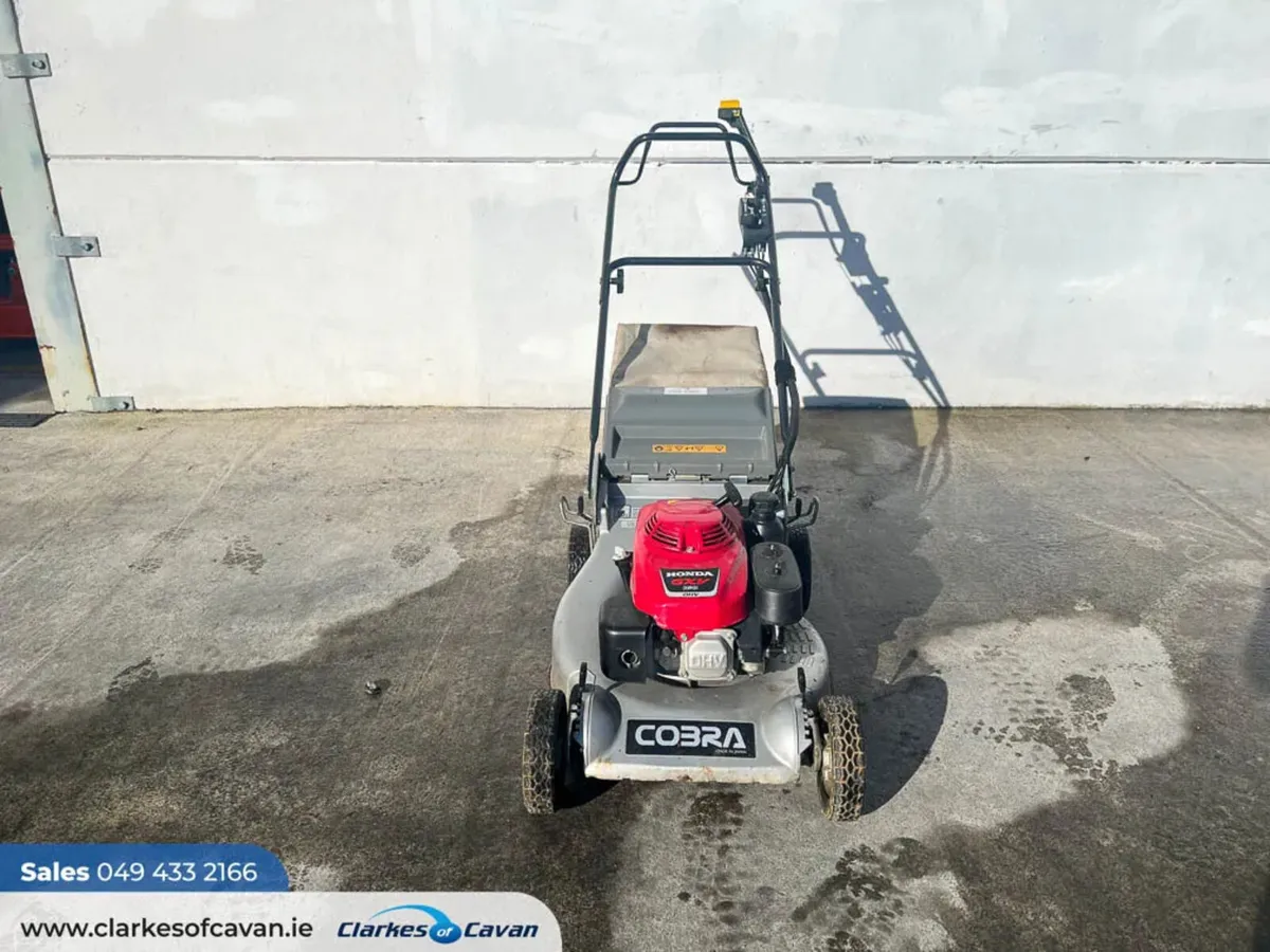 Cobra Kaaz 2020 walk-behind - Image 4