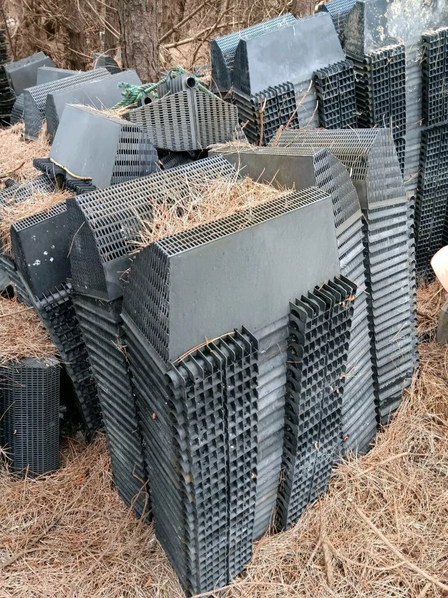 Oyster baskets - Image 4
