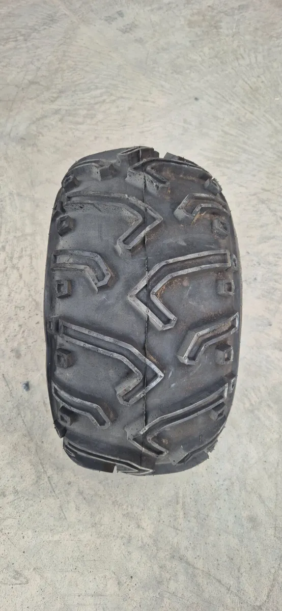 Kings Tyre (24x10-11) - Image 2