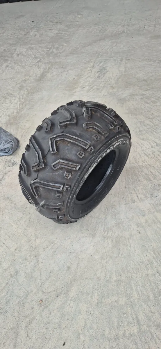 Kings Tyre (24x10-11) - Image 3