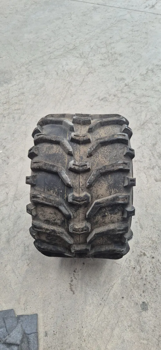 Grizzly Quad Tyres - Image 3