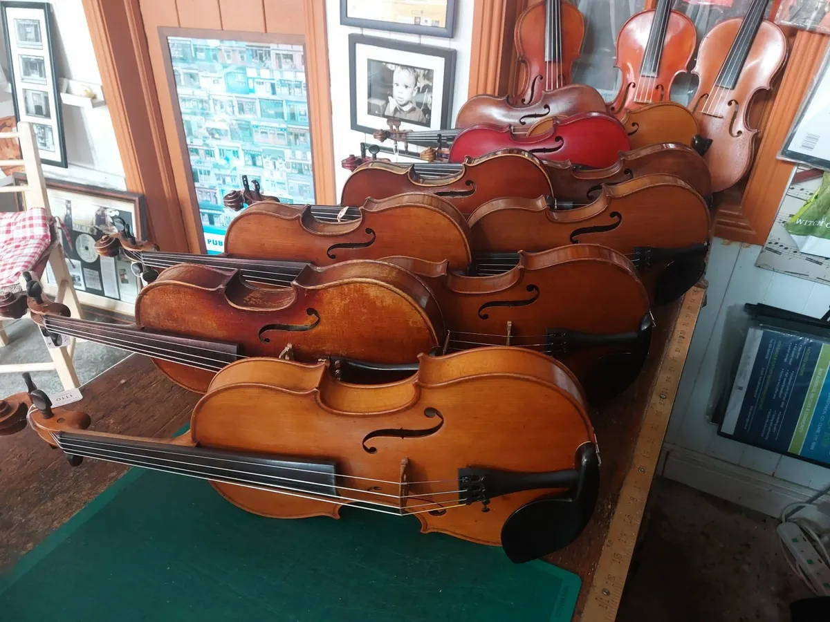 Violins - Image 2