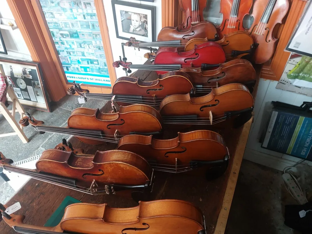 Violins - Image 4