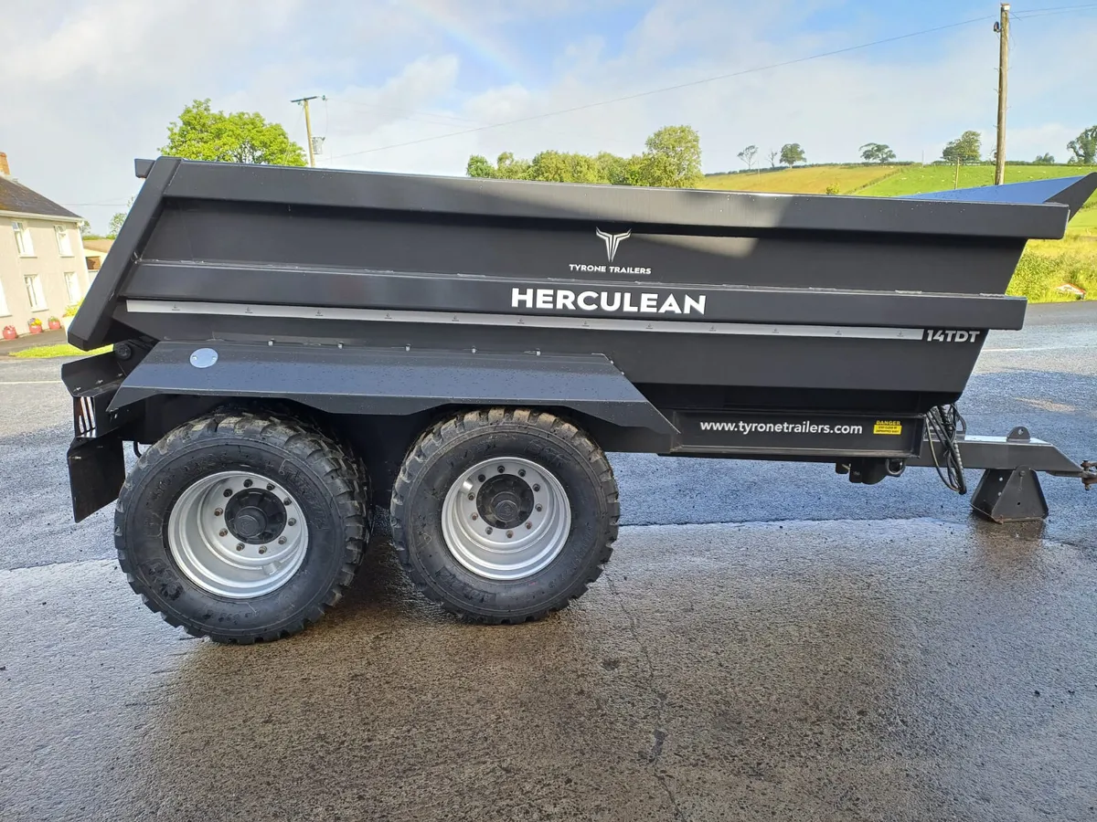 14 Ton Dump Trailer - Image 4