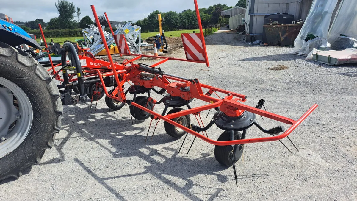 SIP 6 rotor tedder Spotless - Image 4