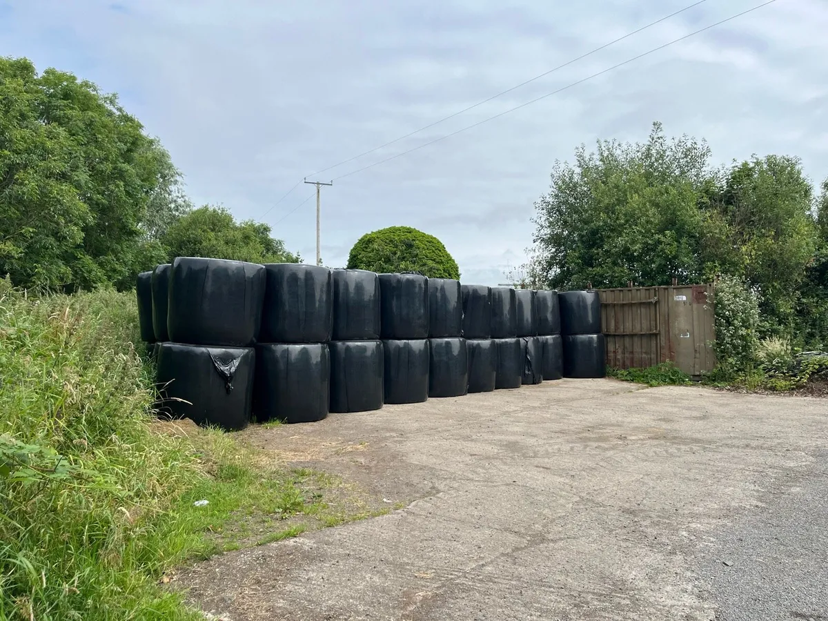 Round bales of first cut silage. - Image 2