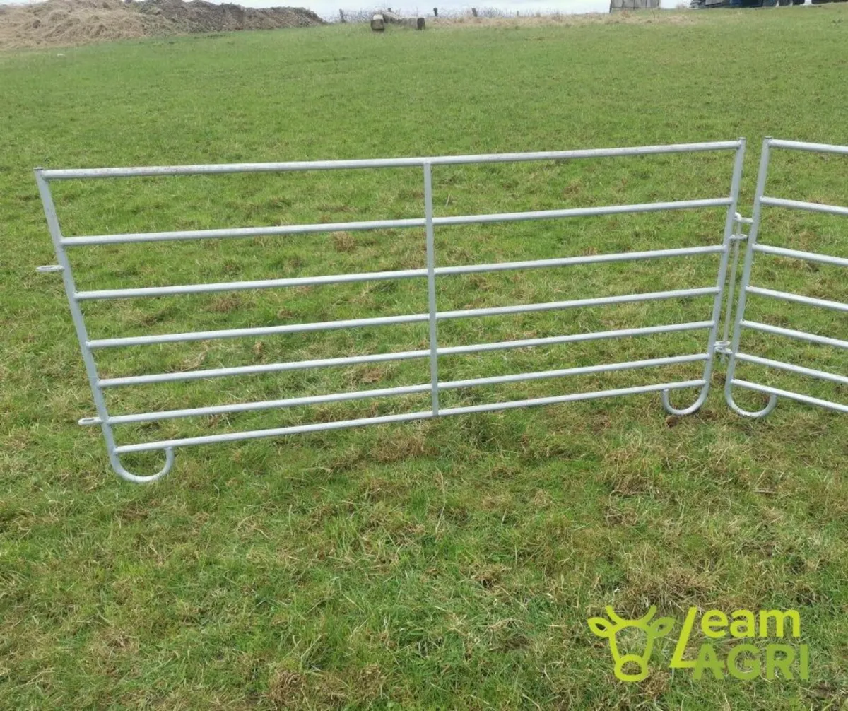 10ft sheep hurdles and sleigh type hurdles - Image 3