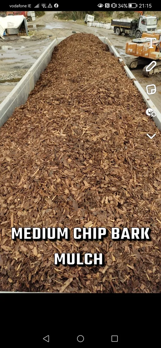 Bark - Image 1