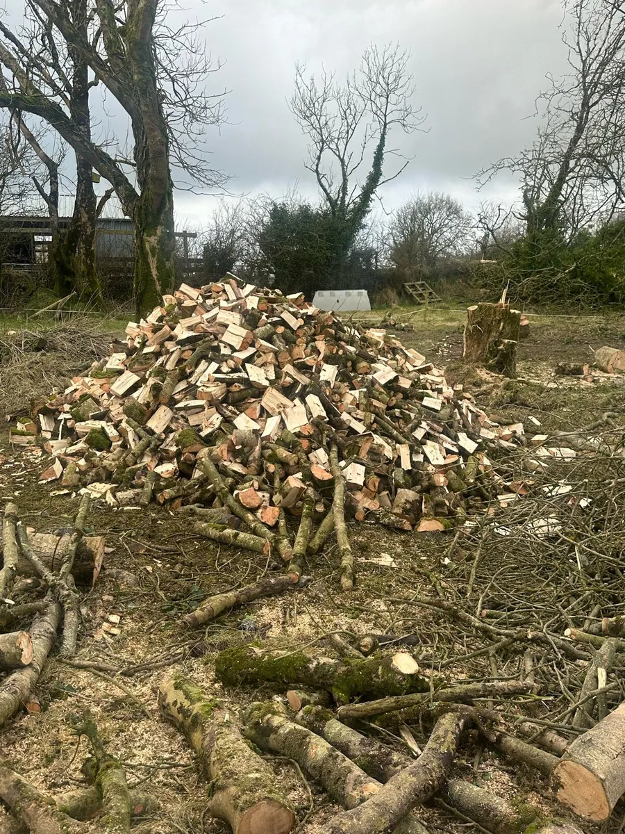 Log splitting - Image 1