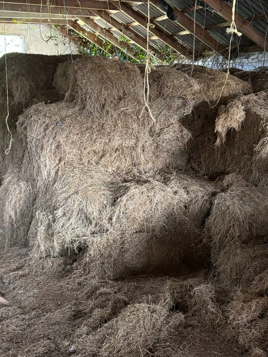 Free Hay for **BEDDING ONLY** for sale in Co. Galway for €0 on DoneDeal