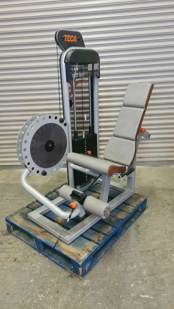 5 PIECE ITALIAN STRENGTH MACHINES - TECA STRENGTH - Image 1