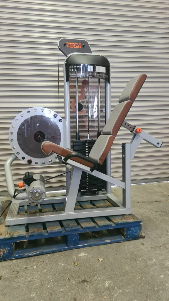 5 PIECE ITALIAN STRENGTH MACHINES - TECA STRENGTH - Image 2