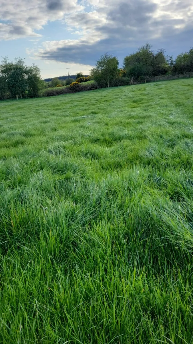 Boost Grass Growth for € 13.50 /acre - Image 4