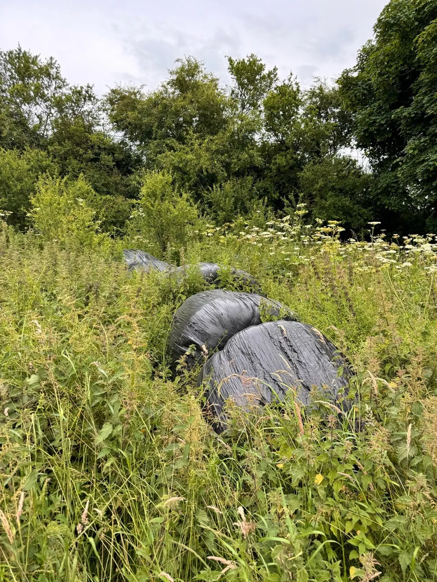 Looking to get rid of old silage bales for sale in Co. Tipperary for €200 on DoneDeal