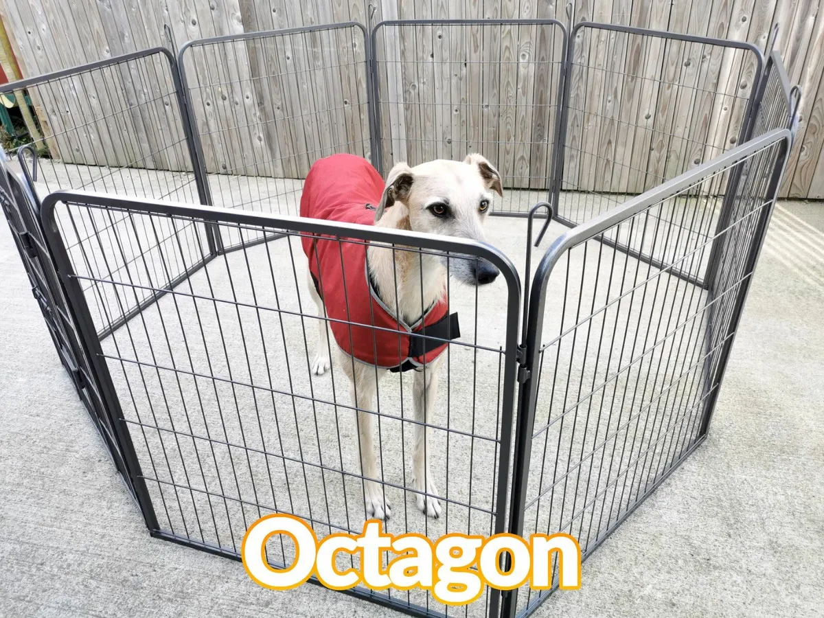 Dog Pen - Image 2