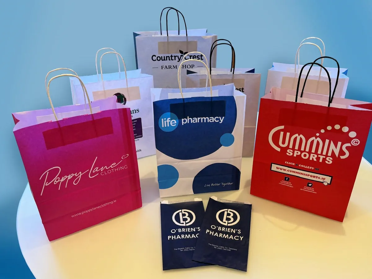 Branded Paper Bags with Twisted Handle