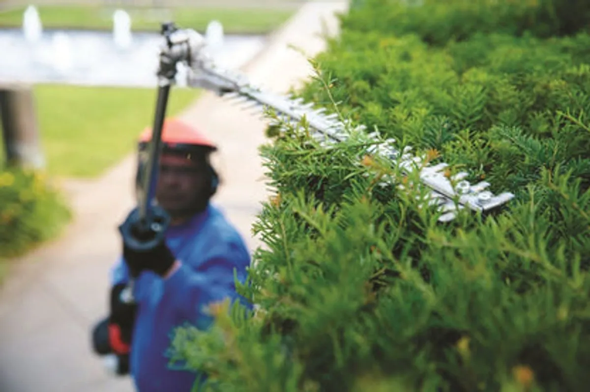 ECHO GARDEN AND FORESTRY POWER TOOLS - Image 1