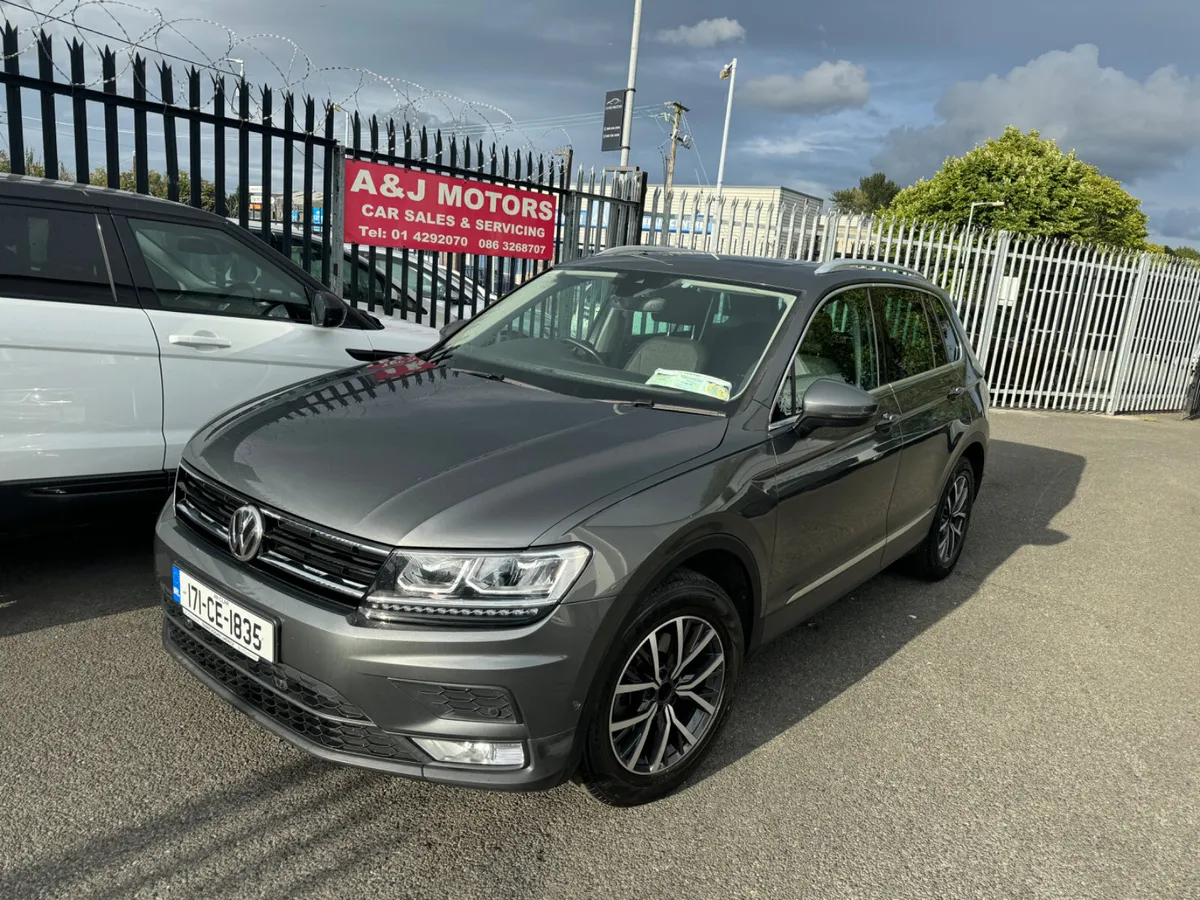 17 Volkswagen Tiguan Glass Roof - Image 1