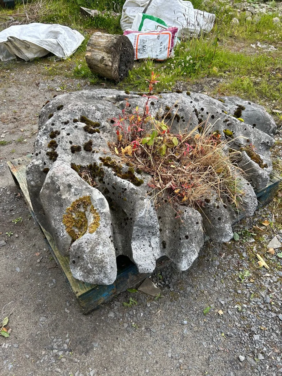 Wild Atlantic Way Landscaping Boulders - Image 1