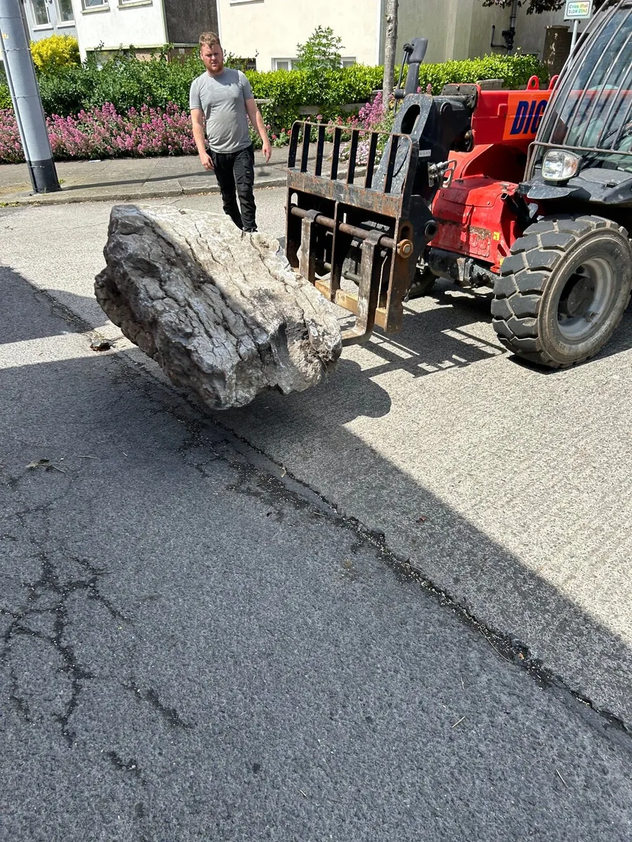 Wild Atlantic Way Landscaping Boulders - Image 3