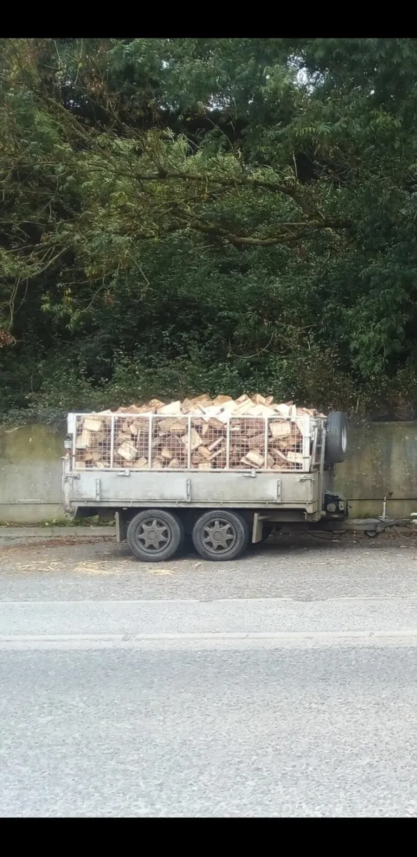 Firewood *Ash*  for sale * best deals* - Image 1