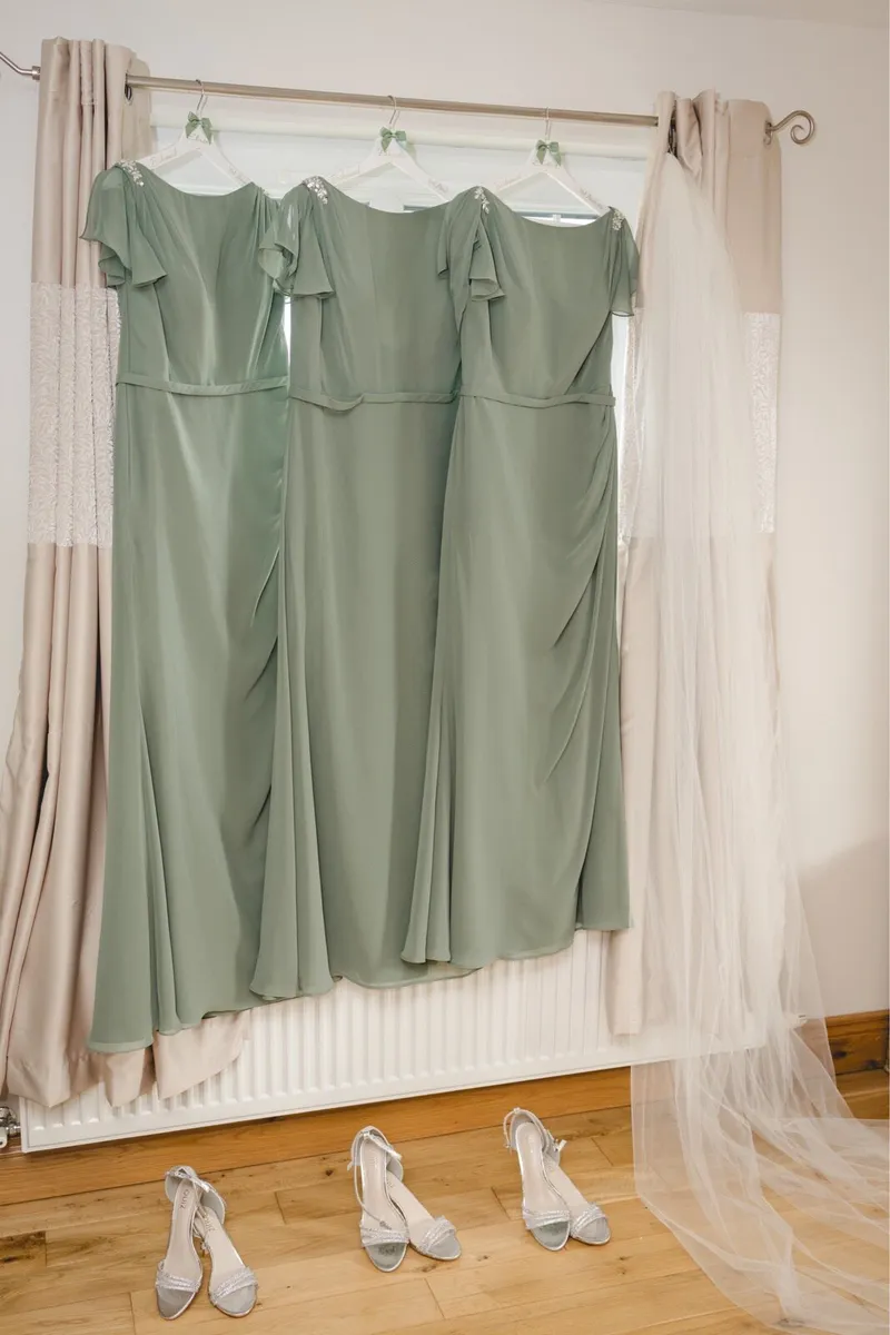 Bridesmaid dresses - Image 1