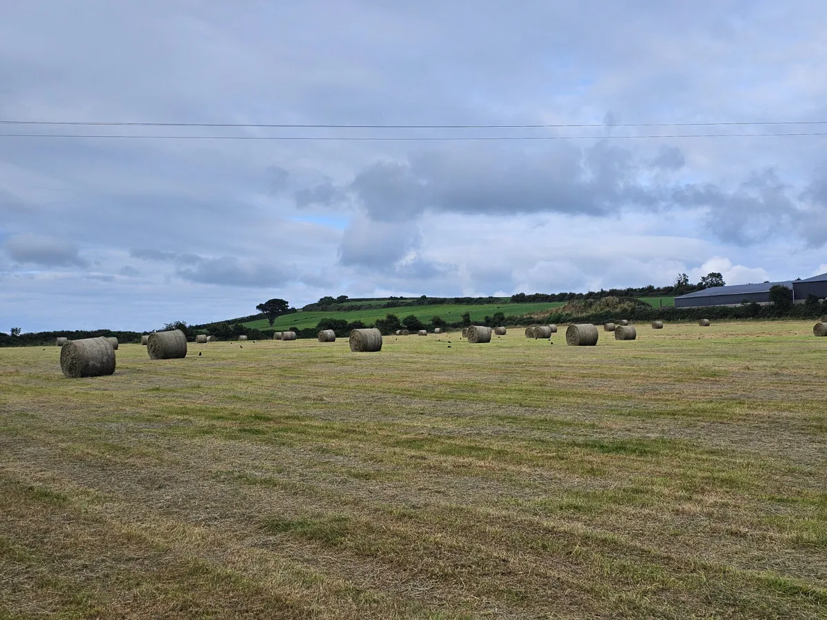 Hay For sale Listowel Area