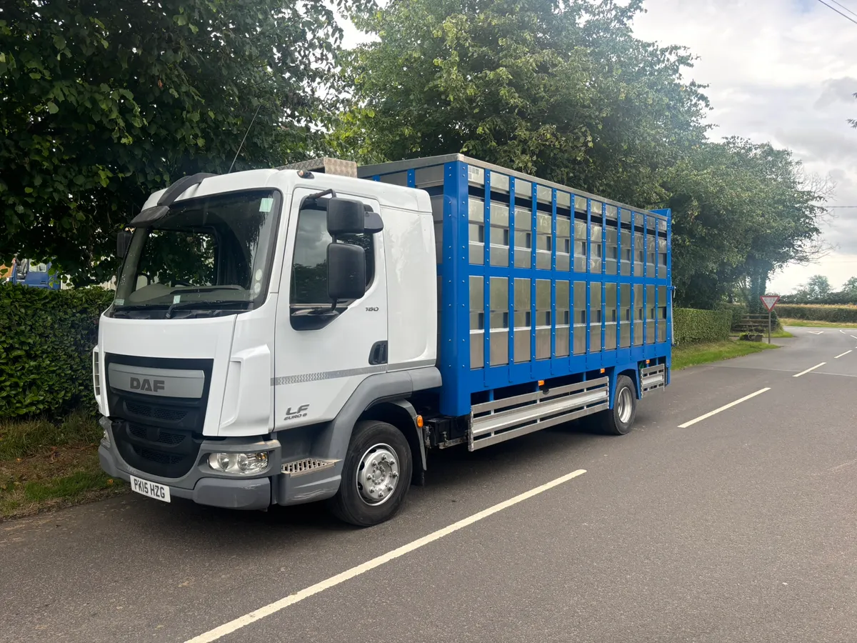 Daf 12 ton cattle lorry - Image 1