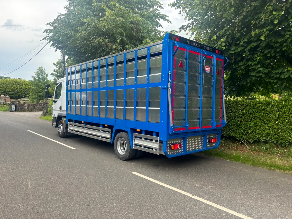 Daf 12 ton cattle lorry - Image 2