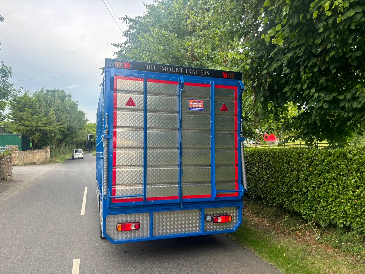 Daf 12 ton cattle lorry - Image 3