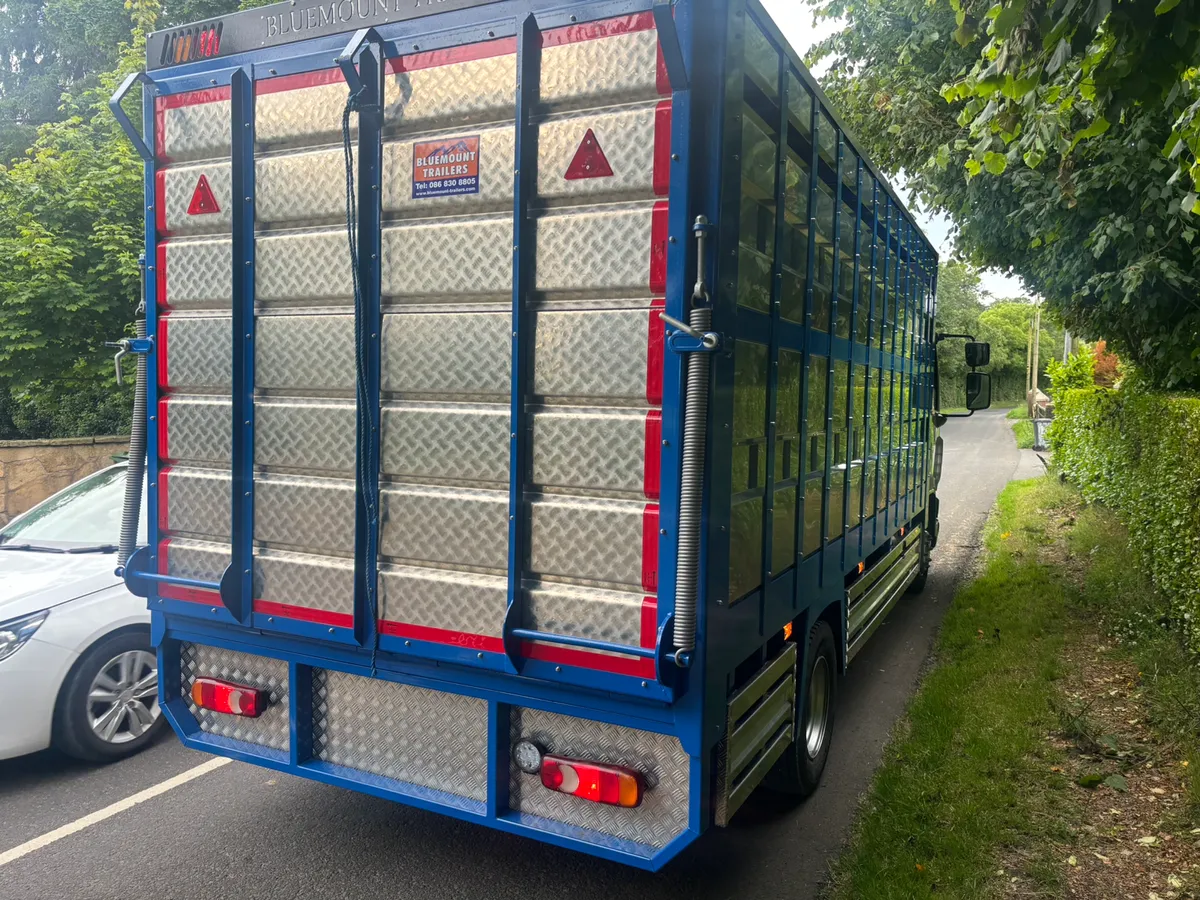 Daf 12 ton cattle lorry - Image 4