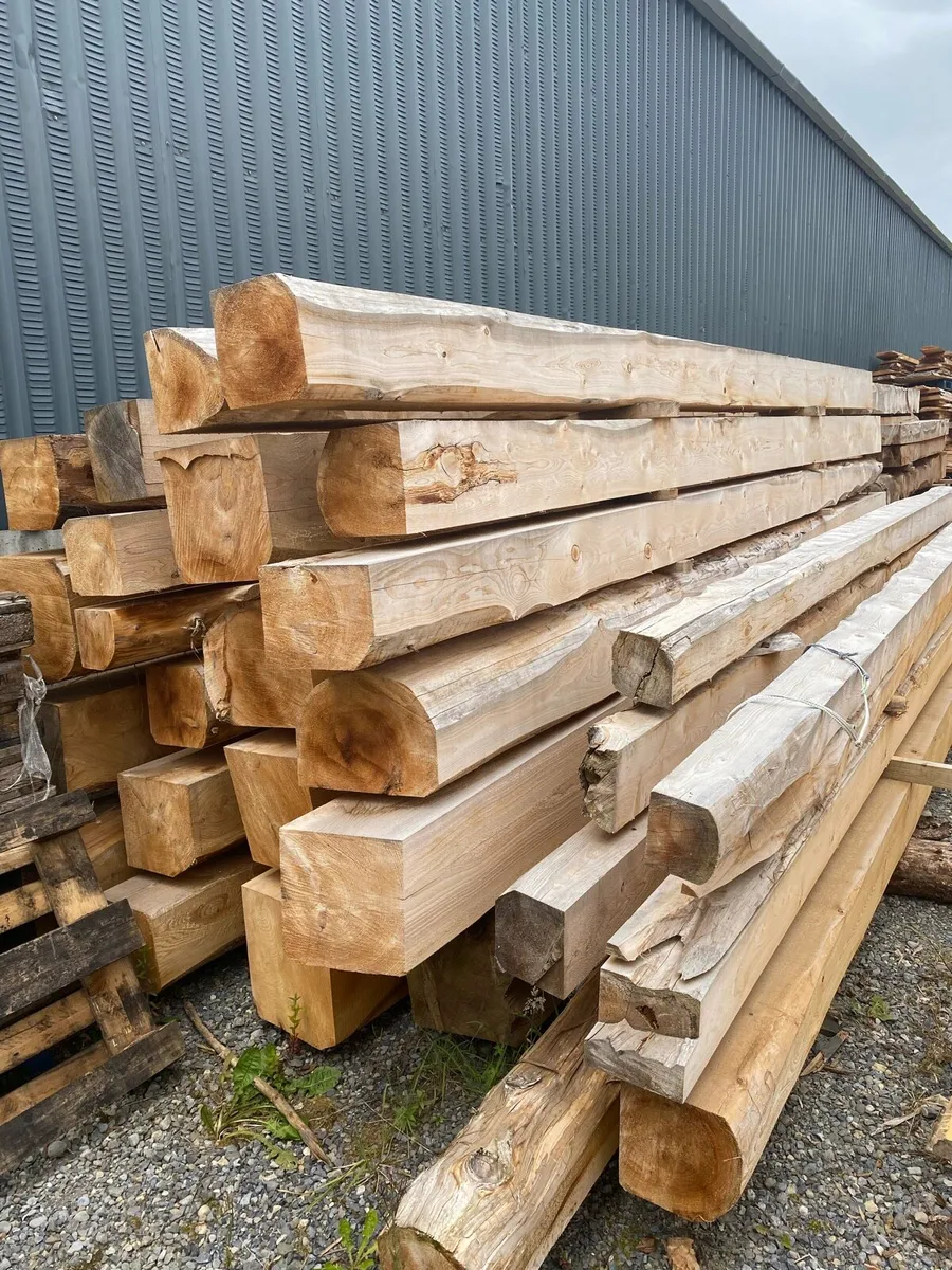 Western red cedar