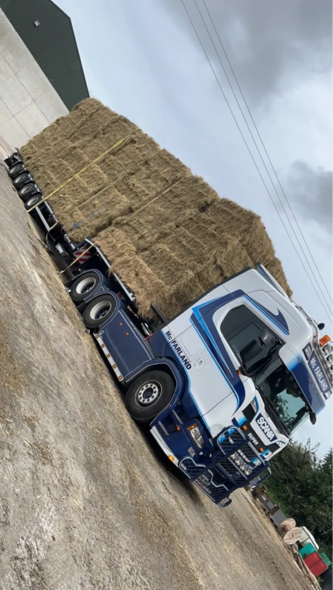 **TOP CLASS HORSE HAY 25** - Image 3