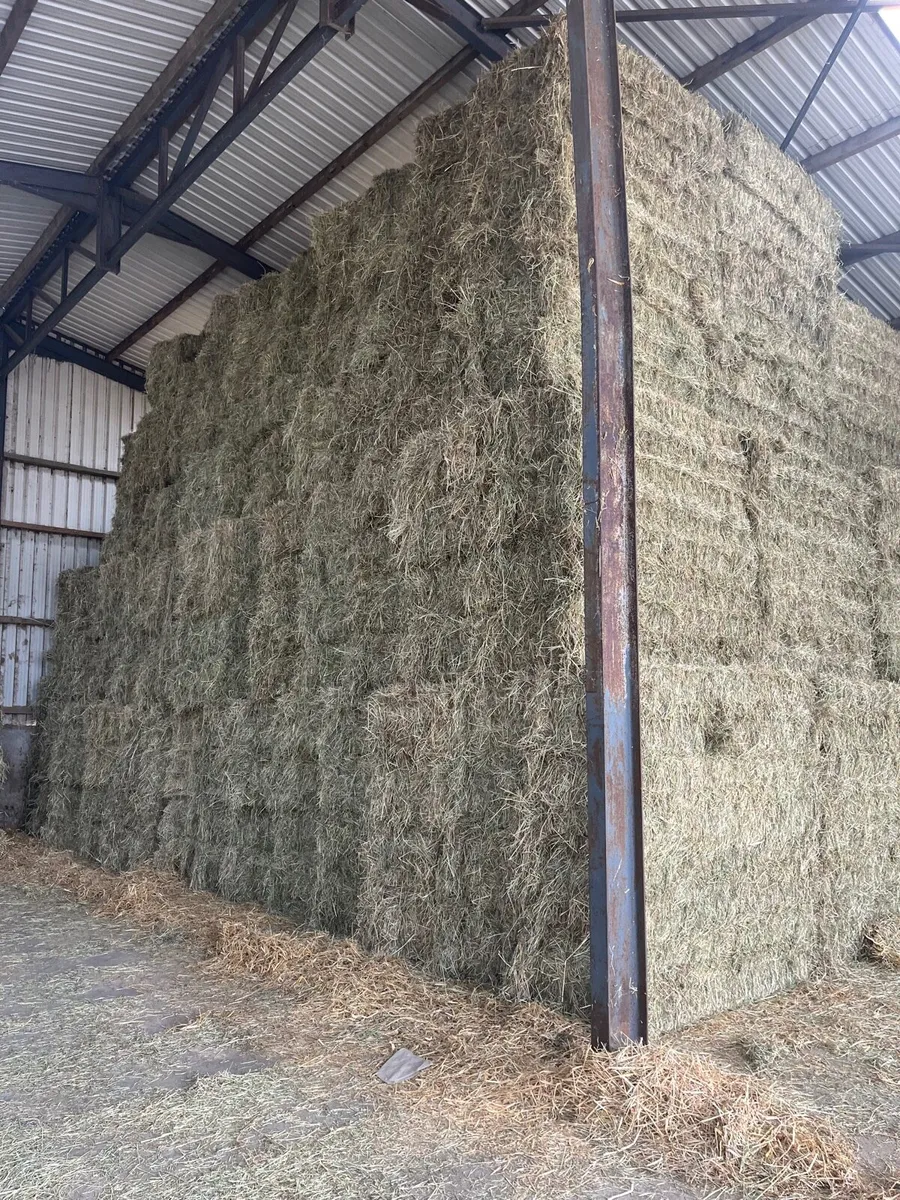 **TOP CLASS HORSE HAY 25** - Image 4