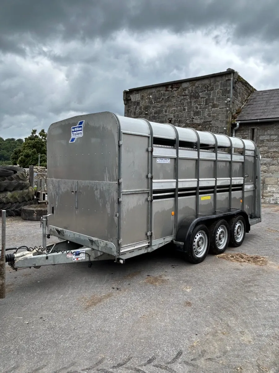 ifor williams livestock trailer - Image 1