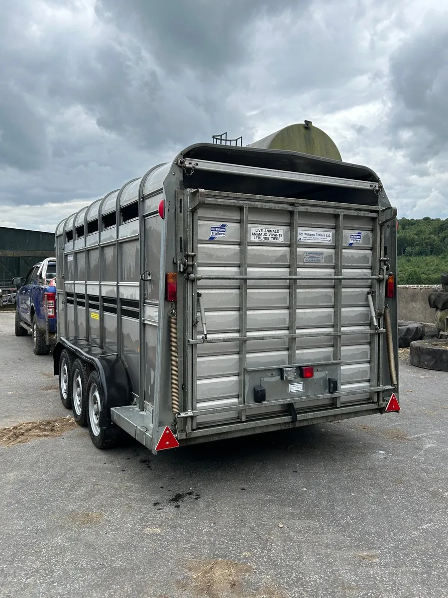 ifor williams livestock trailer - Image 2