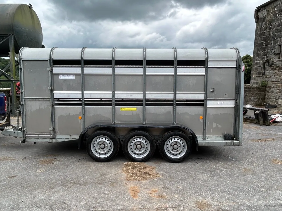 ifor williams livestock trailer - Image 3