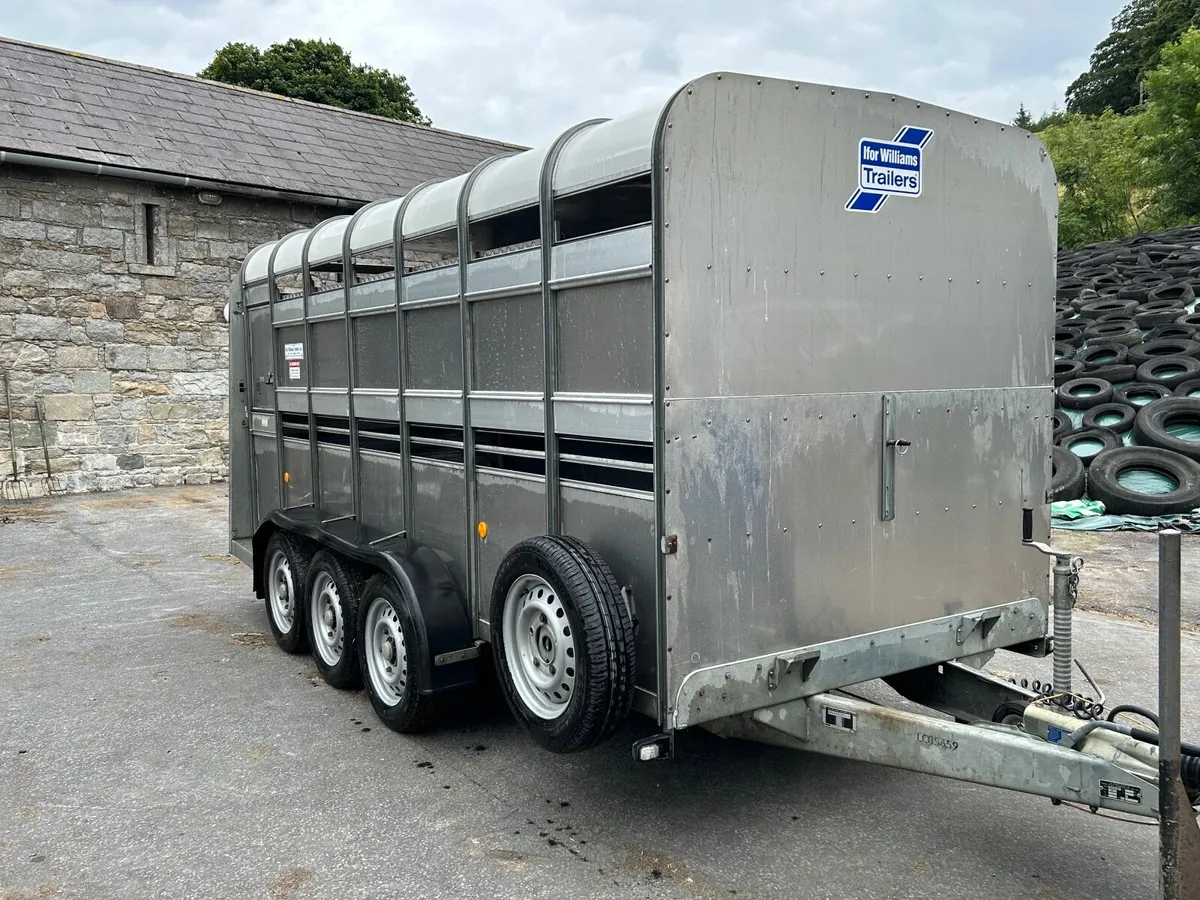 ifor williams livestock trailer - Image 4