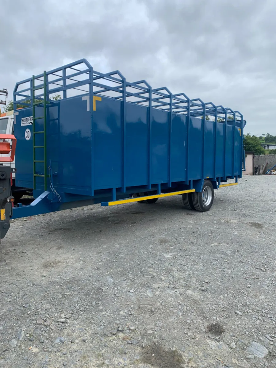 Bridgeway cattle trailer - Image 4