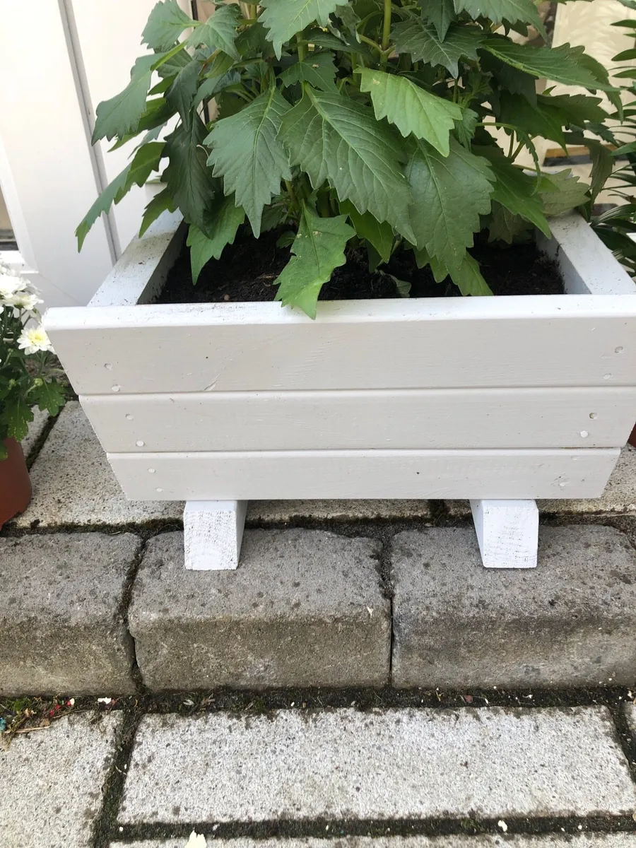 Flower boxes - Image 3